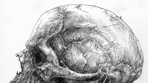 Анатомические рисунки Дюрера