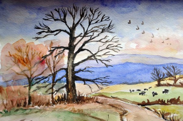 Пейзаж цветными карандашами для детей
