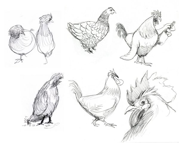 Курица рисунок для детей карандашом