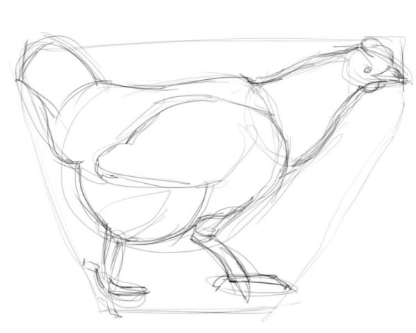 Раскраска домашние животные курица