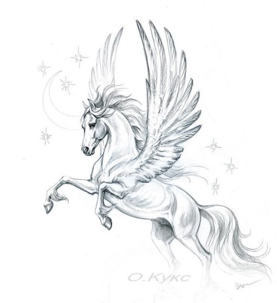 Пегас рисунок