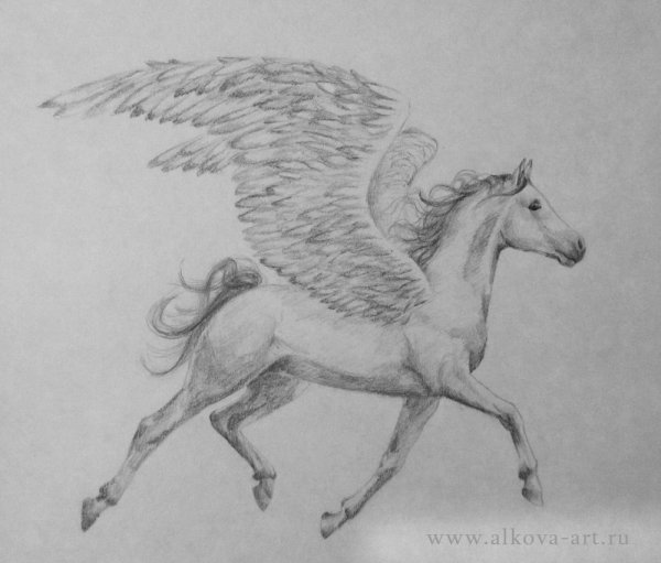 Пегас рисунок