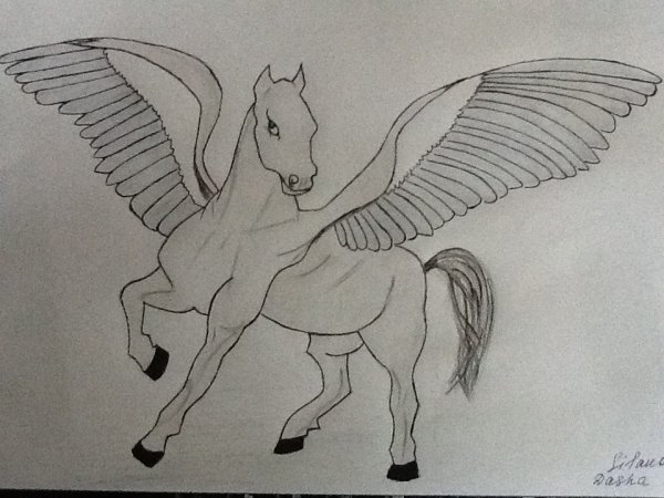 Лошадь с крыльями карандашом