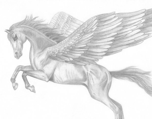 Единорог рисунок карандашом