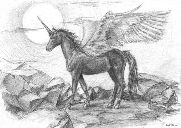 Рисунки пегасов