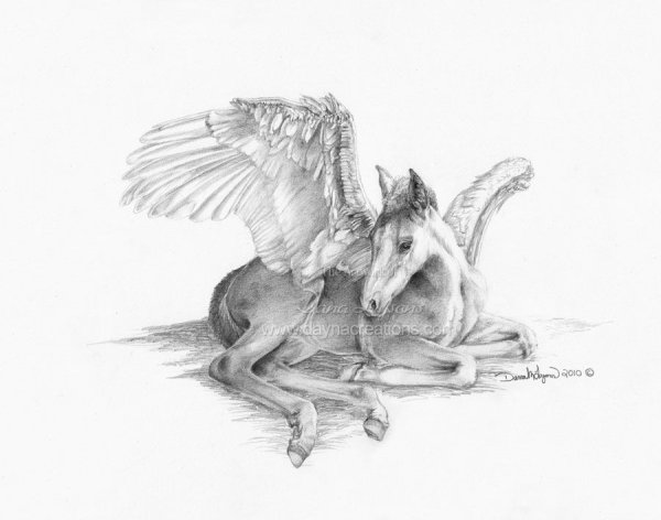 Рисунки пегасов