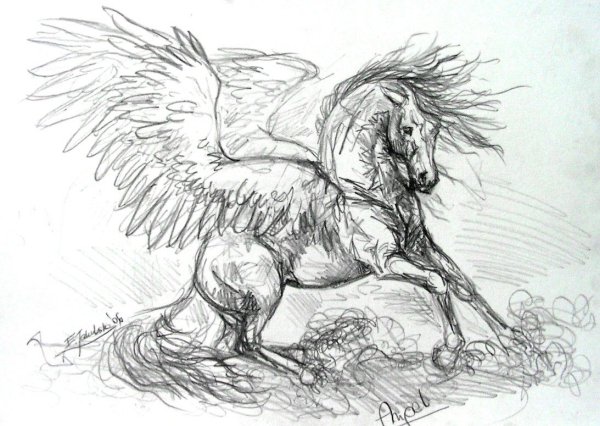 Поэтапное рисование Пегаса