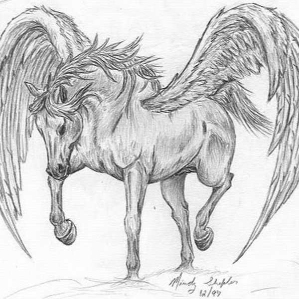 Лошадь с крыльями карандашом