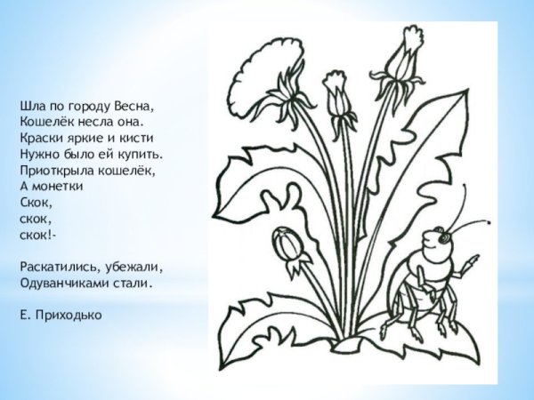 Ветреница Лесная раскраска