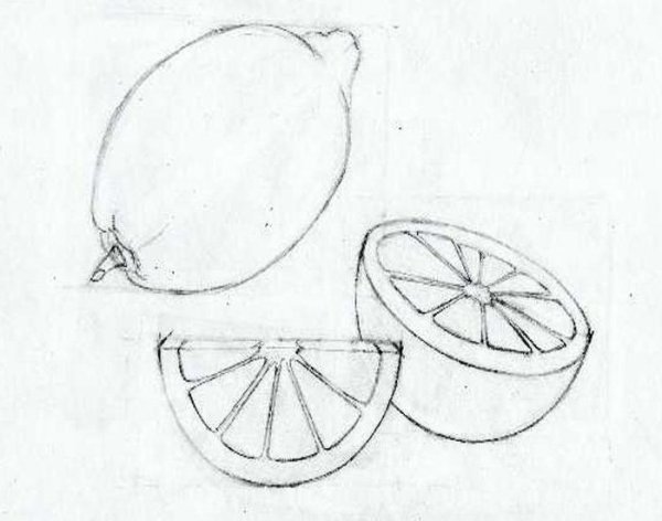 Лимон рисунок