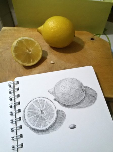 Лимон эскиз