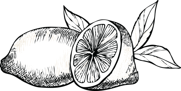 Лимон акварелью