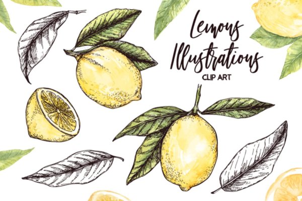 Лимон простым карандашом