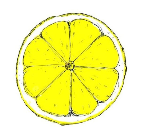 Фрукты для срисовки карандашом