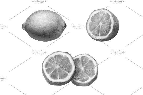 Лимон для срисовки