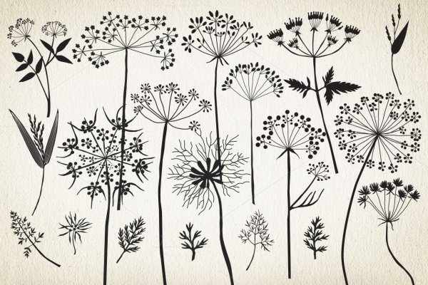 Стилизованные цветы