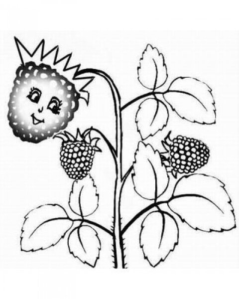 Лёгкие рисунки малины