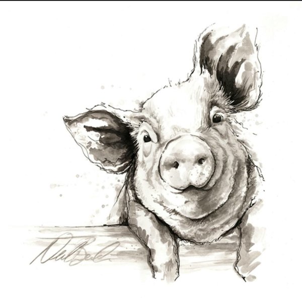 Свинья карандашом