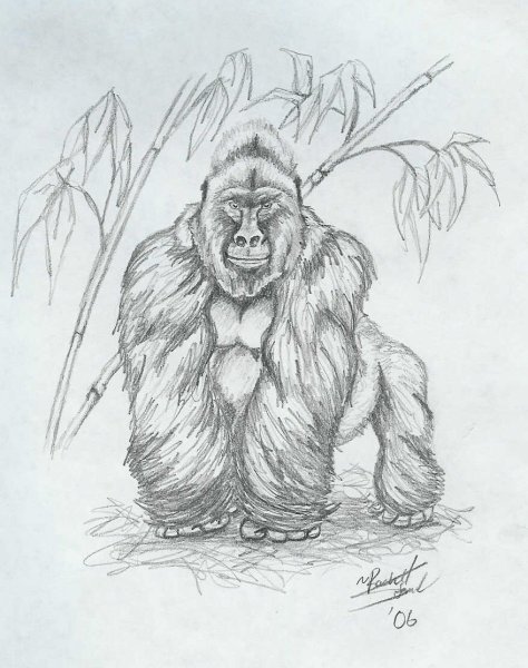 Горилла набросок