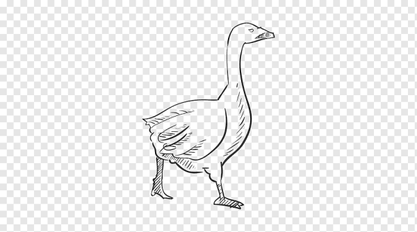 Гусь мультяшный