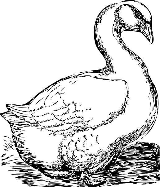 Гусь черно белый