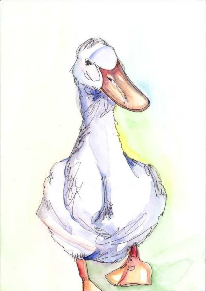 Рисунок гуся карандашом для срисовки