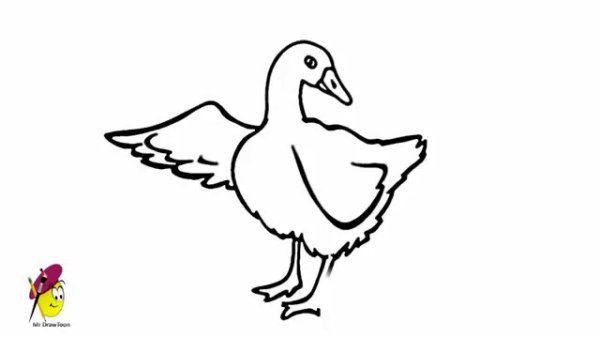 Раскраска утки