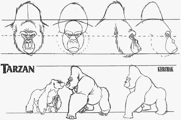 Как нарисовать гориллу поэтапно