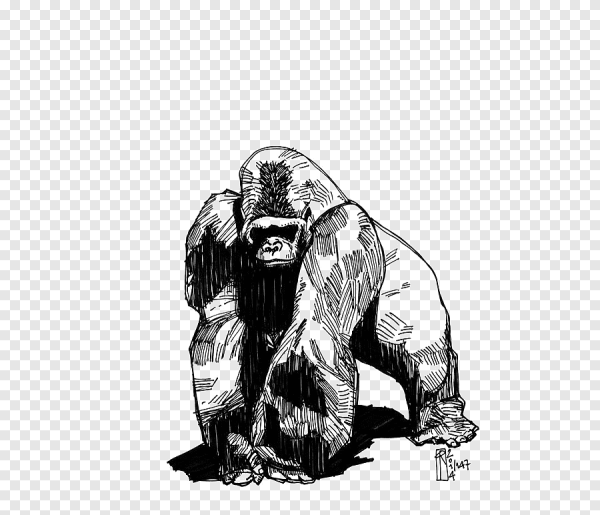 Горилла Глум