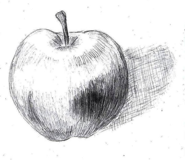 Яблоко для рисования с натуры