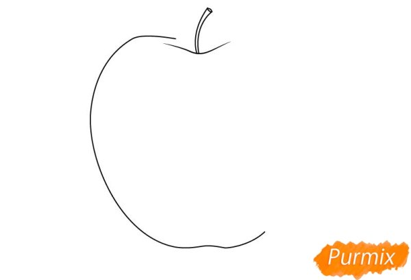 Контур яблока карандашом