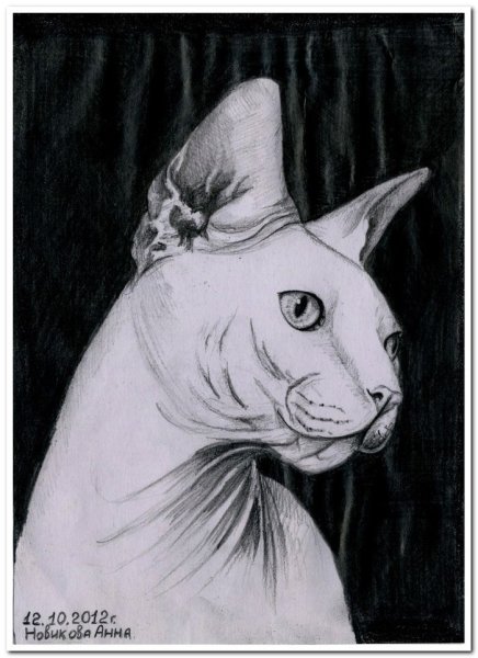 Сфинкс рисунок карандашом