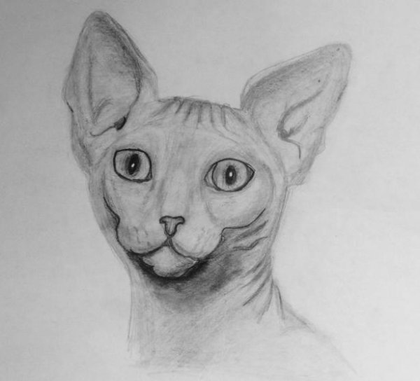 Сфинкс карандашом