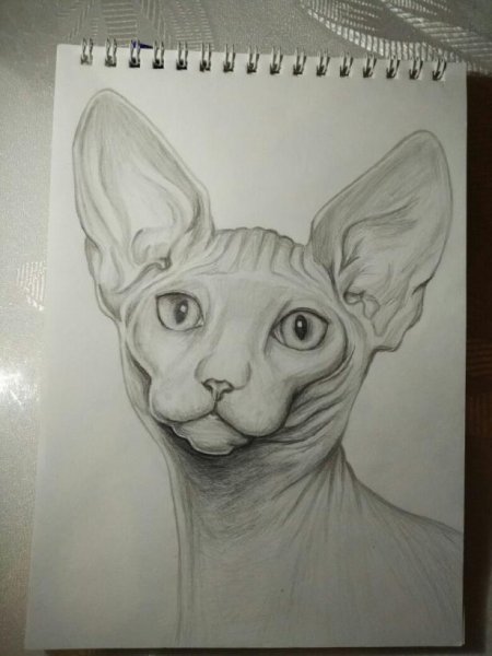 Сфинкс карандашом