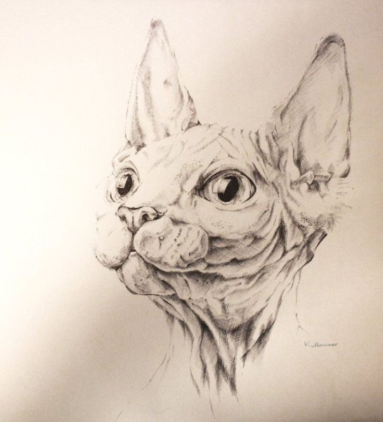 Сфинкс эскиз