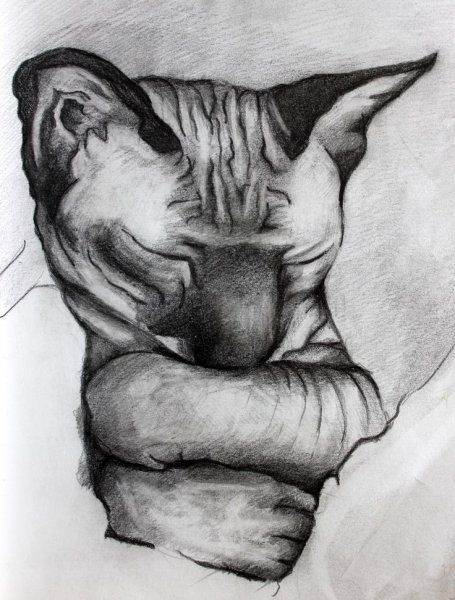 Сфинкс карандашом