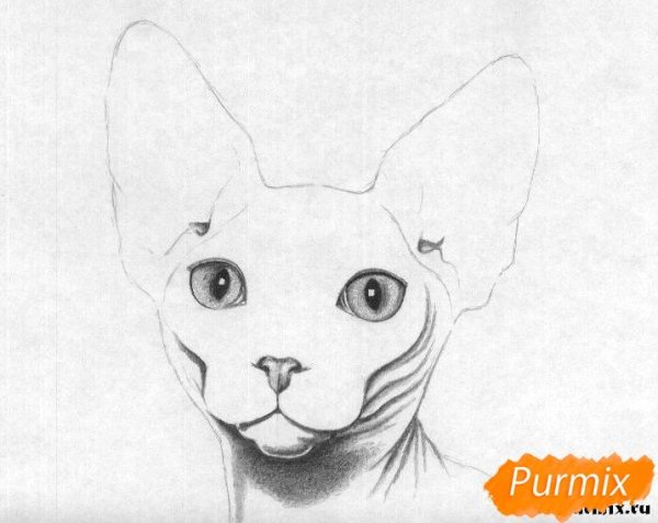 Сфинкс для срисовки карандашом