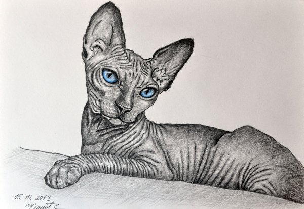 Сфинкс для срисовки