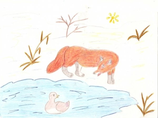 Раскраска сказки серая шейка мамин Сибиряк