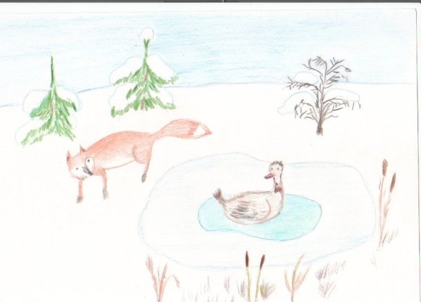 Серая шейка карандашом