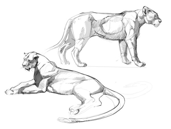 Рисунки карандашом