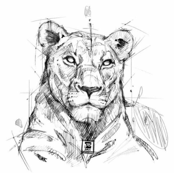 Пантера рисунок карандашом