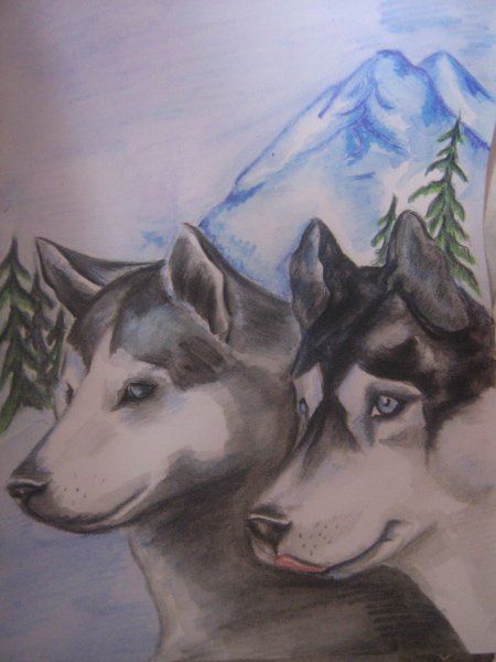Хаски эскиз