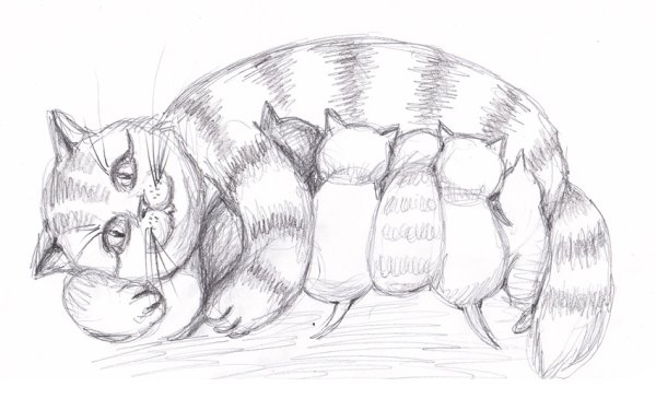 Кошка с котятами рисунок карандашом