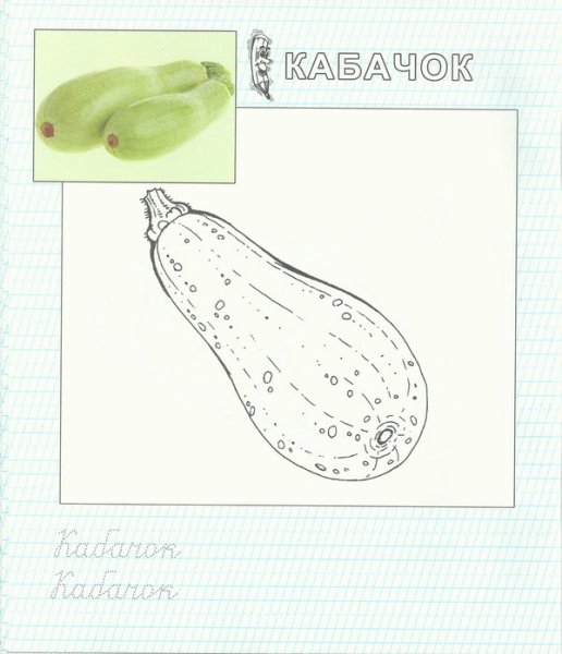 Раскраска овощи кабачок