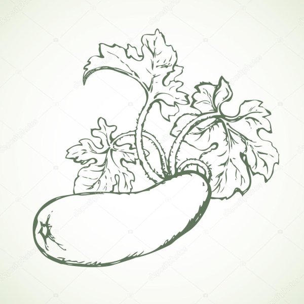 Овощи раскраска для детей