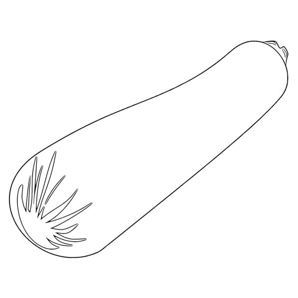 Кабачок раскраска для детей