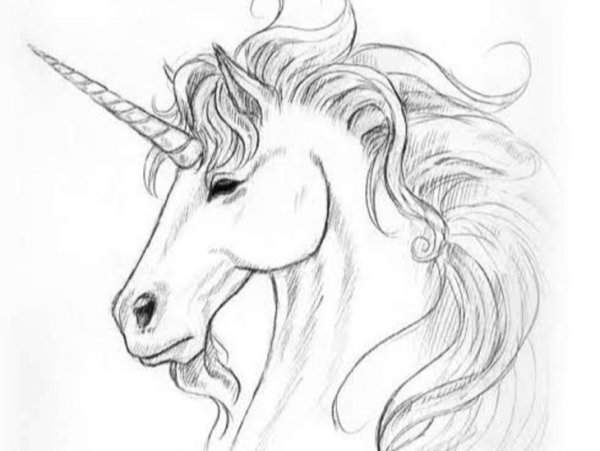 Единорог рисунок карандашом