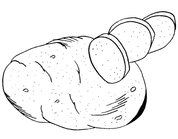 Картошка раскраска