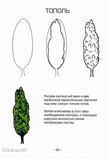 Нарисовать дерево Тополь